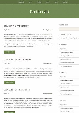 简洁blog网页模板