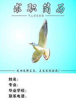 求职简历图片