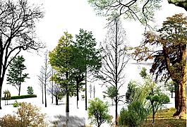 园林景观花草树林鸟瞰透视效果图psd分层18图片
