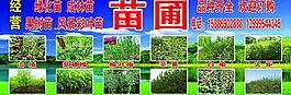 苗圃图片