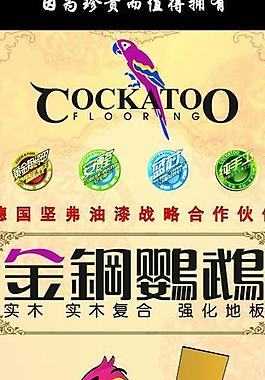 金钢鹦鹉德国坚弗油漆图片