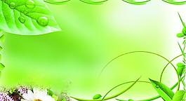 绿色背景图片