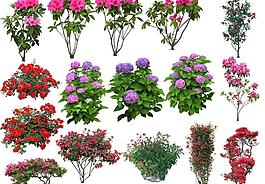 园林景观花草树林透视鸟瞰效果图psd分层8图片