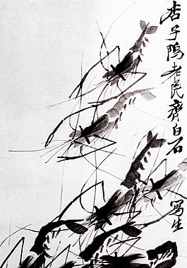 虾  绘画书法