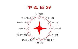 中医图解图片