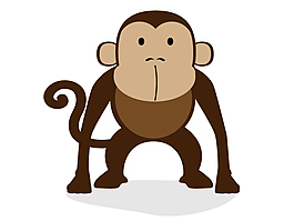 可爱的猴子