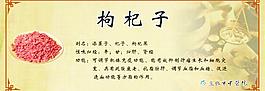 枸杞子图片