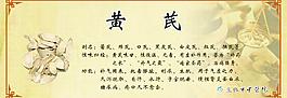 黄芪图片