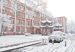 春雪图片