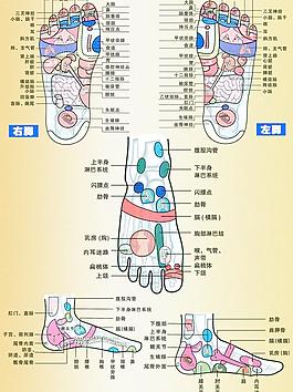 足疗穴位图片