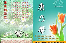 康乃馨图片