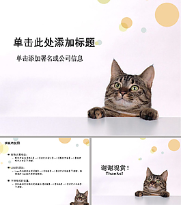 宠物护理ppt模板
