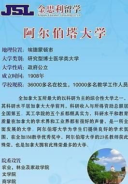留学易拉宝展架图片