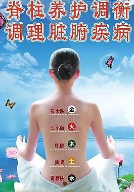 美体海报图片