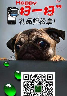 二维码 易拉宝图片