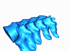骨头