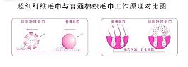 原理图片