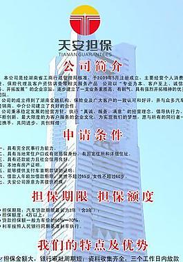 天安投资公司易拉宝图片