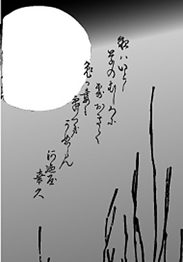 玉兔子