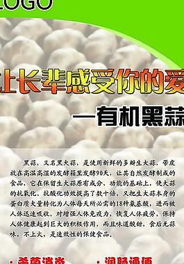 黑蒜展架图片
