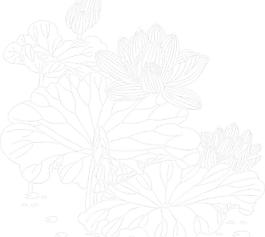荷花图片
