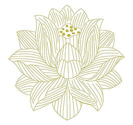 线框荷花图片