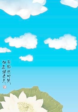 荷花丛图片