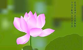 水墨画荷花图片