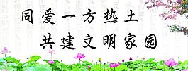 荷花 文明家园图片