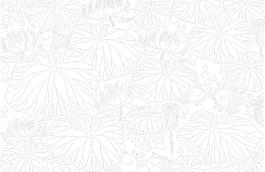 荷花和鱼图片