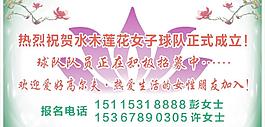 莲花 水木莲花图片