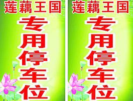 莲藕图片