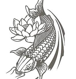 鲤鱼图片