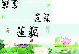 仙荷莲藕图片