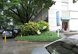 创意园图片