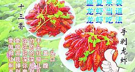 龙虾图片