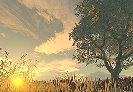 黄昏风景画图片