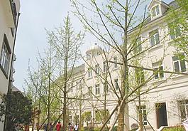 欧式建筑图片