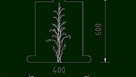 欧式构造 小花图片