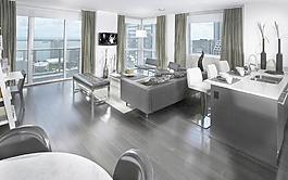 黑白欧式家居图片