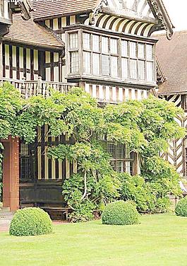 欧式楼房 特写图片