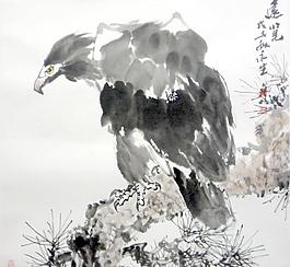 远览图片