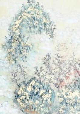 满花遍野图片