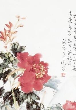 牡丹图片