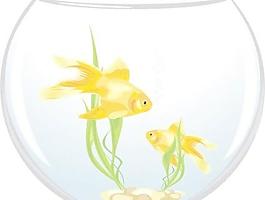 金鱼矢量2