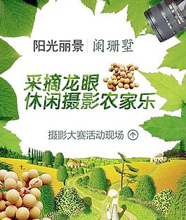摄影大赛图片
