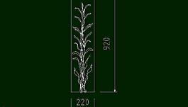 欧式构造 四方花图片