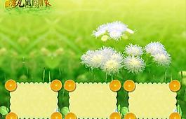 降落凡间的精灵图片