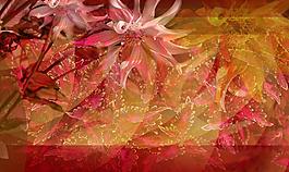 花卉背景创意设计图图片