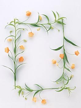 花边框图片